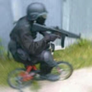 Meet your Posher, Paladin